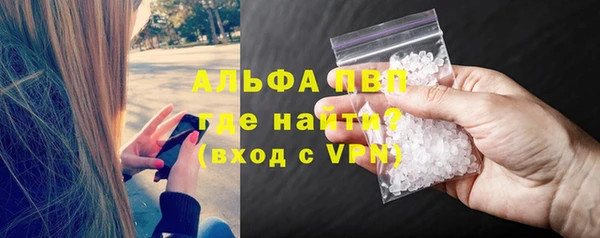 ешки Алексин